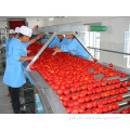 https://www.bossgoo.com/product-detail/tomato-paste-ketchup-production-line-50882647.html
